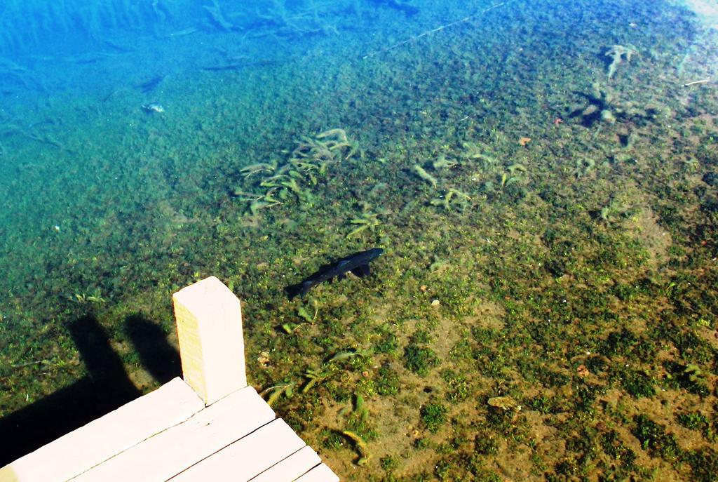 Lodge De Montana Lago Monreal El Blanco Εξωτερικό φωτογραφία